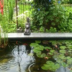Therapieraum Teich